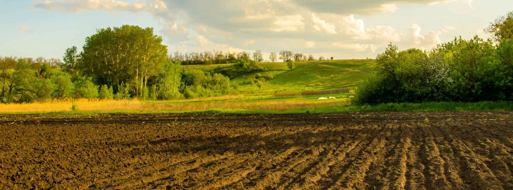 Soil Testing